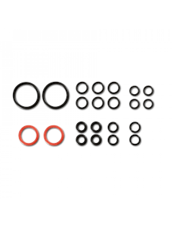 Karcher - Set O-Ring attacco accessori Vapore